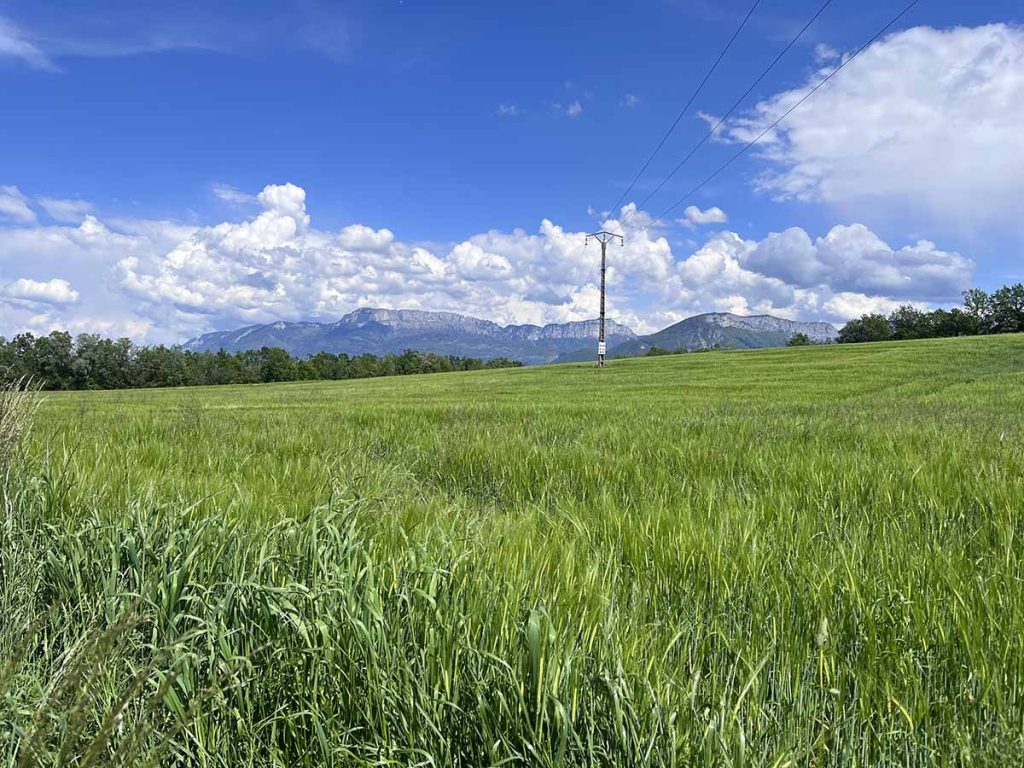 protection terres agricoles de poisy brassilly